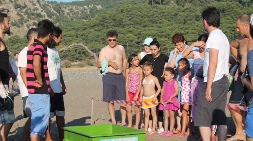 Tedavisi Yapılan Bilkent Fatoş Denize Bırakıldı