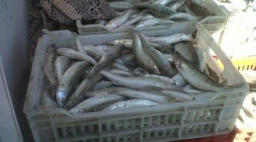 Beyşehir G&ouml;l&uuml;&rsquo;nde Avcılık Faaliyetlerine Sıkı Denetim