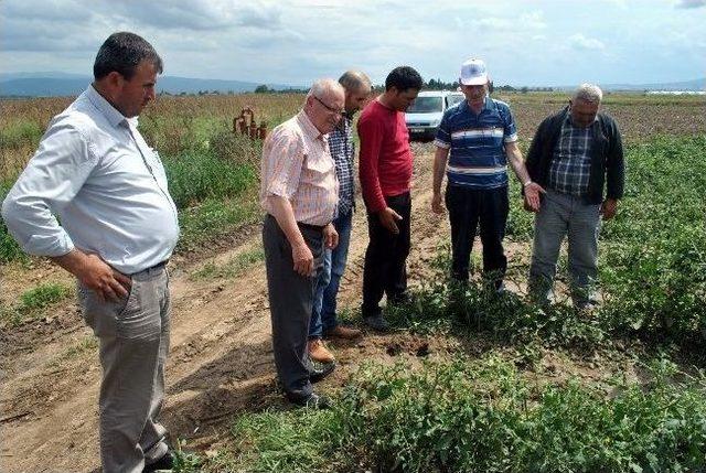 Dolu Yağdı, Kalp Krizi Geçirdi