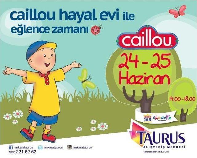 Küçükler Caillou'ya, Büyükler 