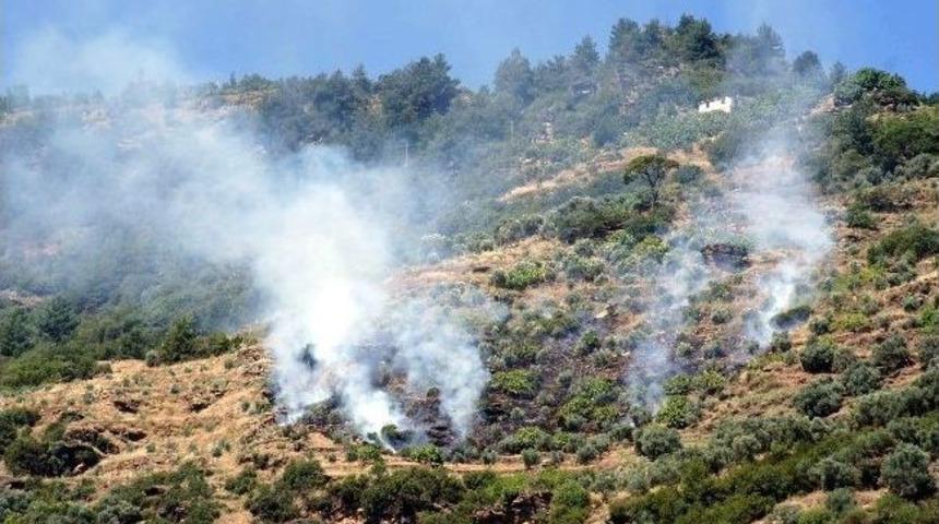 Bozdoğan&rsquo;da Arazi Yangını Korkuttu