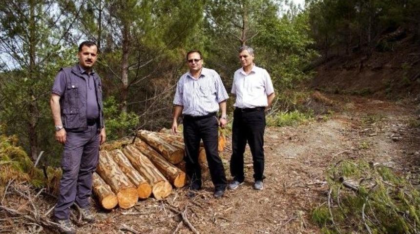 Mersin'de Rampa Satışları Devam Ediyor