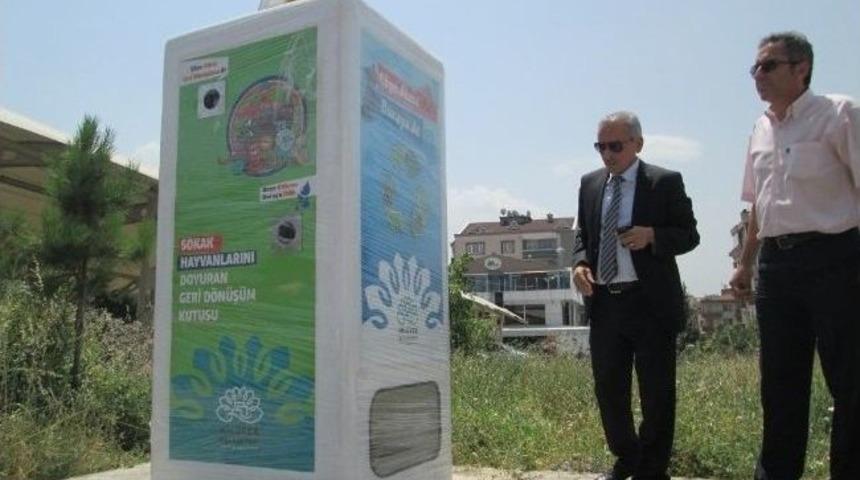 Sokak Hayvanlarına Geri D&ouml;n&uuml;ş&uuml;ml&uuml; Beslenme