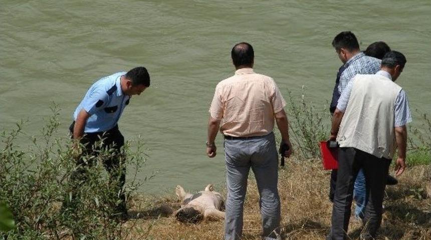 Akıntıya Kapılan Genci Polis, Kalp Masajı Yaparak Kurtardı