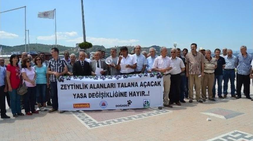 Zeytin &Uuml;reticilerinden Eylem