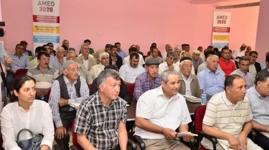 Diyarbakır B&uuml;y&uuml;kşehir Belediye Eşbaşkanı Anlı: "siyaset Yapmayacak, Hizmet &Uuml;reteceğiz"