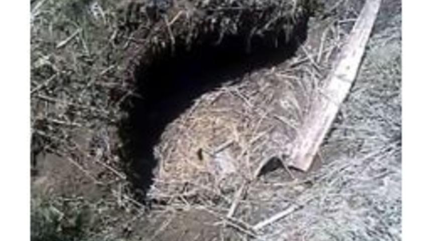 Tatvan'da Belediyesi Arızalı Su Şebekesi Hatlarında &Ccedil;alışma Başlattı