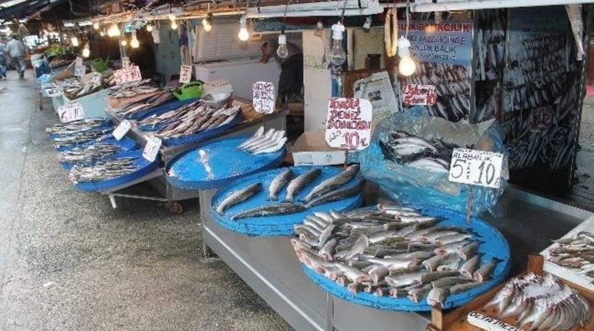 Doğu Karadeniz'de Balıkta Yılın En Durgun Zamanı Yaşanıyor
