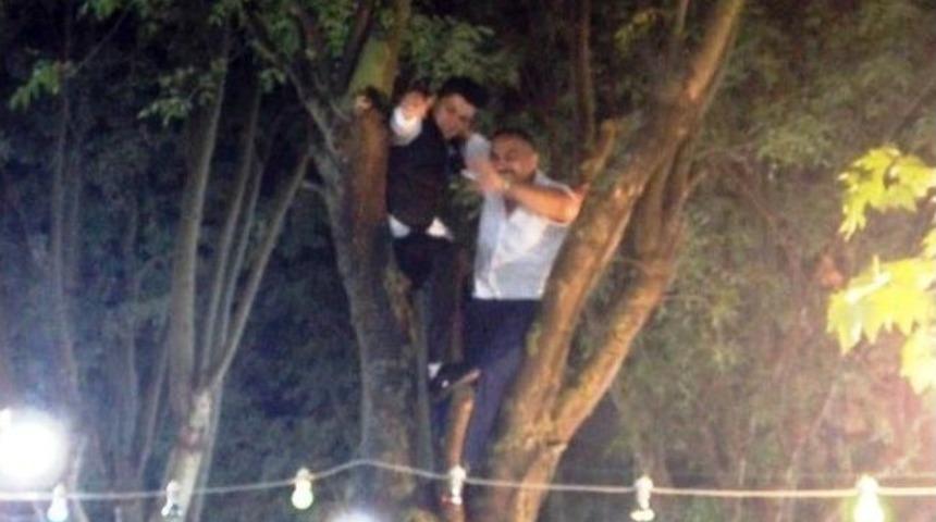 (&ouml;zel Haber) Alan Dar Gelince Damat Ve Babası Ağa&ccedil;ta Oynadı