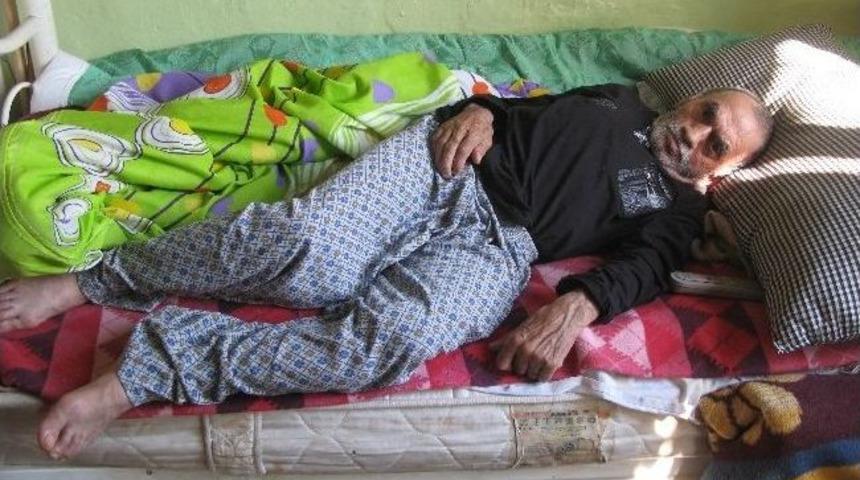 Kimsesiz Yaşlı Adam Yardım Bekliyor