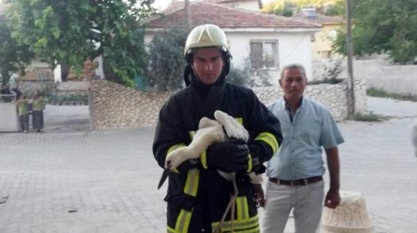 Yavru Leyleği İtfaiye Kurtardı