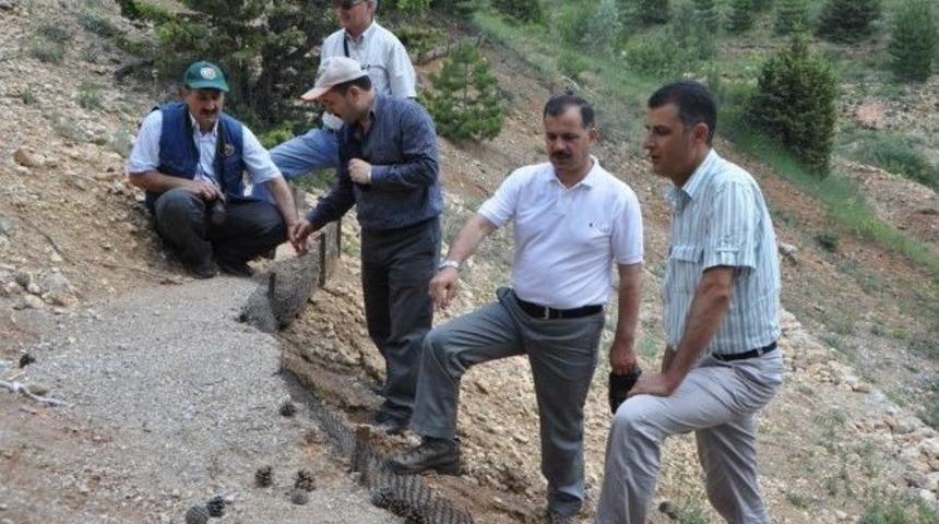 Mersin'de Model Sel Kontrol &Ccedil;alışmaları