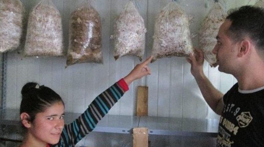 Zihinsel Engelli &Ouml;ğrenciler Mantar Yetiştirecek