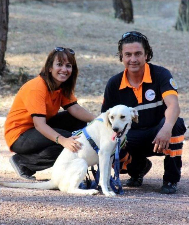 (&ouml;zel Haber) Barınaktan Arama Kurtarma Timi ne 2