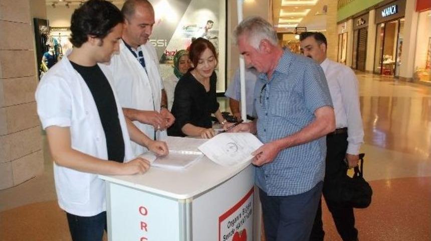 Tokat&rsquo;ta &ldquo;cana Can Katın&rdquo; Kampanyası