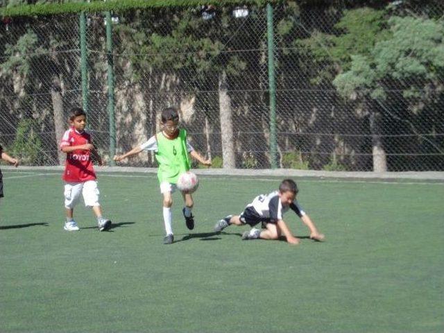 Kartal'ın Şanlıurfa Avı Başladı