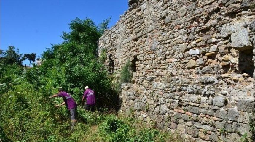 Side Antik Kenti’nde Temizlik Çalışması