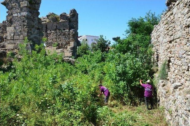 Side Antik Kenti’nde Temizlik Çalışması