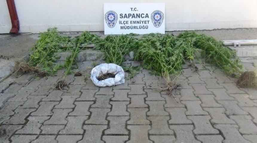 Sapanca&rsquo;da Hint Keneviri Ele Ge&ccedil;irildi