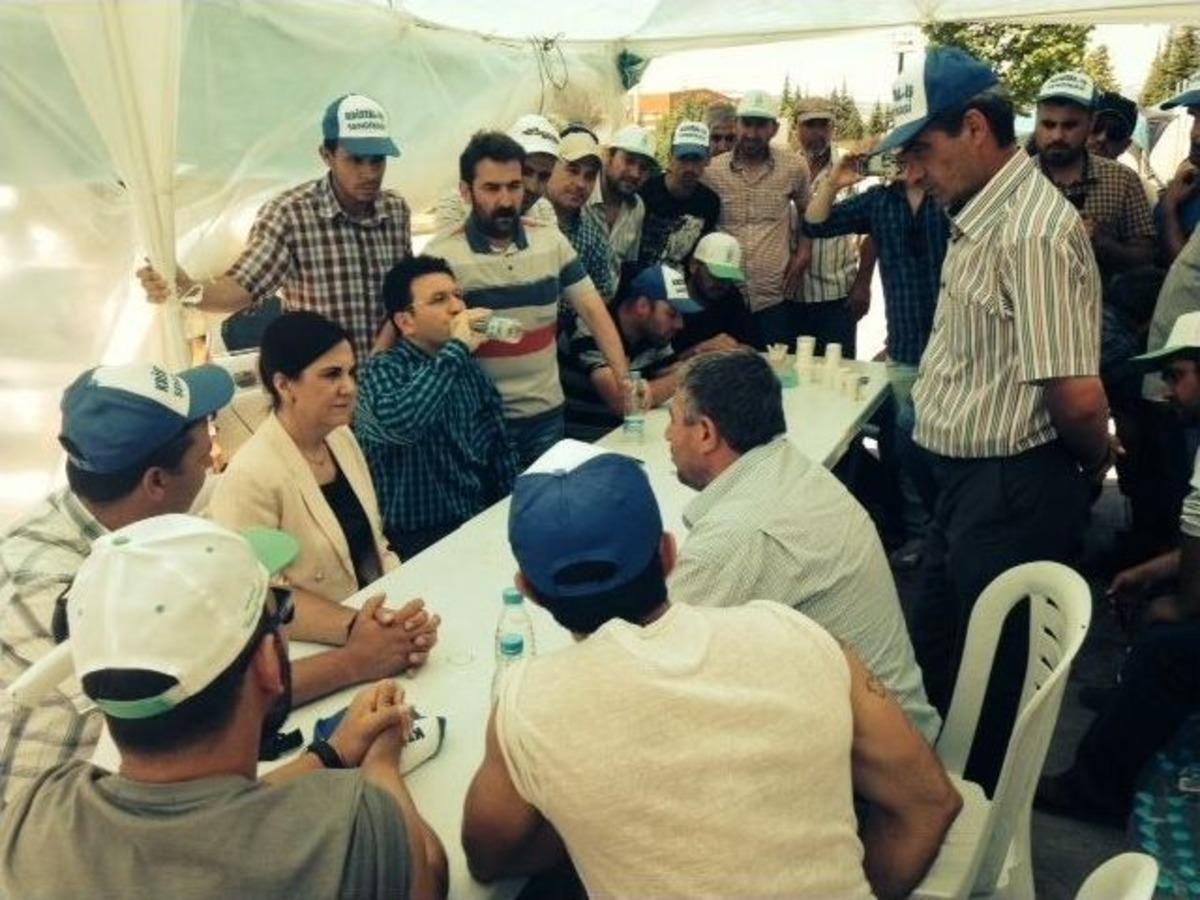 Usluer&rsquo;den Cam İş&ccedil;ilerine Destek