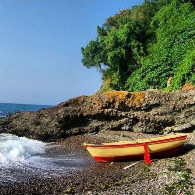 Amat&ouml;r Fotoğraf&ccedil;ıdan K&ouml;y&uuml;ne &Ouml;zel Sergi 1