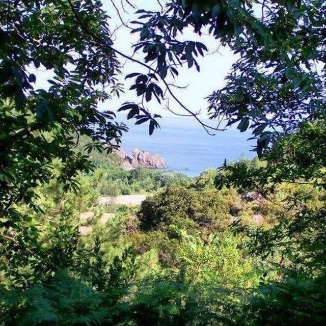 Amat&ouml;r Fotoğraf&ccedil;ıdan K&ouml;y&uuml;ne &Ouml;zel Sergi 2