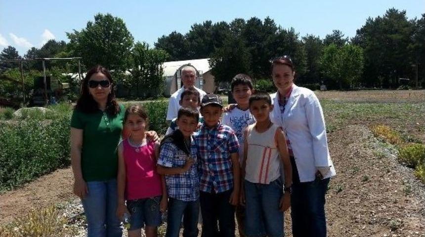 Lider &Ccedil;ocuk Tarım Kampı Etkinliği D&uuml;zenlendi