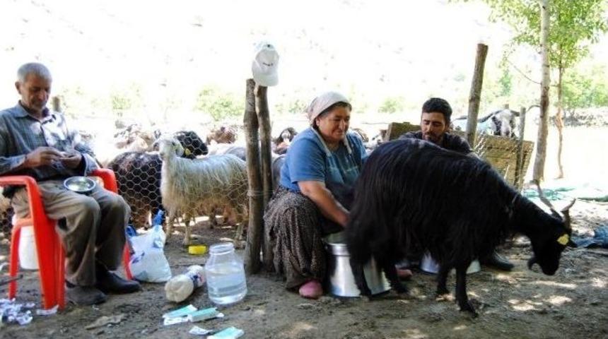 20 Yıl Sonra K&ouml;ylerine D&ouml;nd&uuml;ler