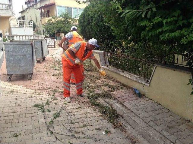 Köyler Ve Plajlardaki Çöpler Temizleniyor 1