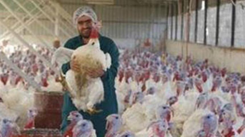 T&uuml;rklere neden Turkey denir?