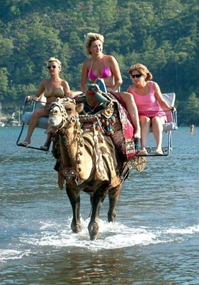 Turist Sayısı Y&uuml;zde 7 Arttı 2