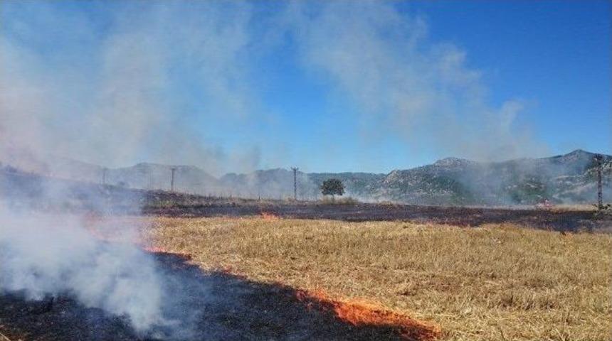 Feke'de 45 D&ouml;n&uuml;m Buğday Tarlası Yandı