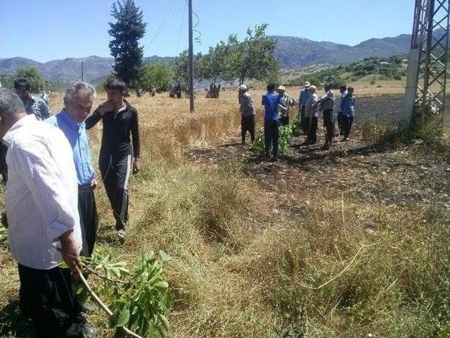 Feke de 45 D&ouml;n&uuml;m Buğday Tarlası Yandı 1