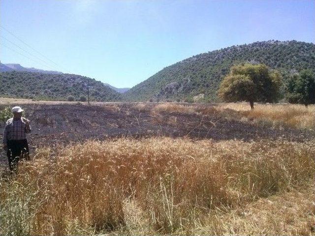 Feke de 45 D&ouml;n&uuml;m Buğday Tarlası Yandı 2