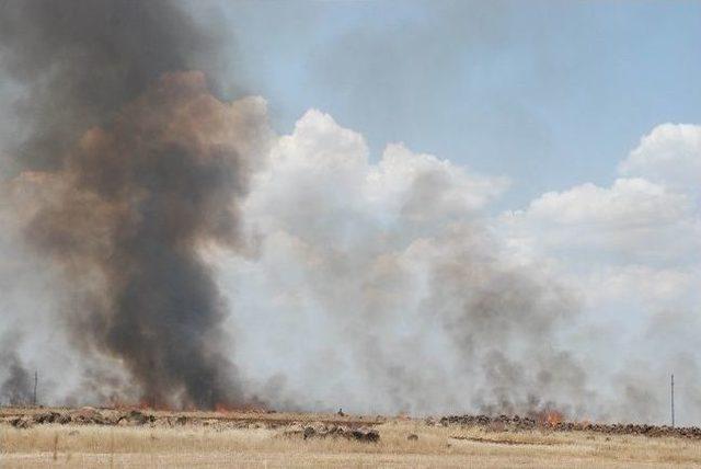 Diyarbakır&rsquo;da Korkutan Anız Yangını 1