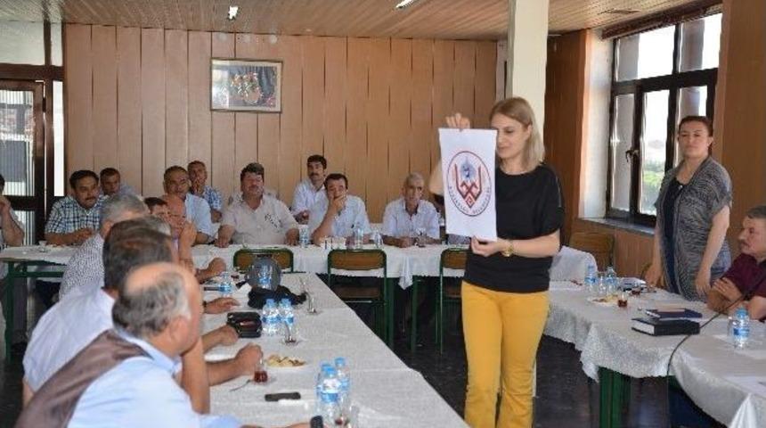 Altıeyl&uuml;l Logoları Halk Oylamasına Sunuldu