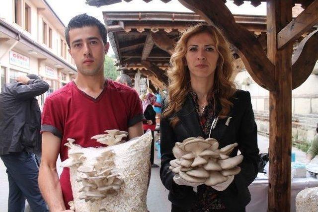 Gazete Haberinden G&ouml;rd&uuml;ğ&uuml; Mantarın &Uuml;retimini Yaptı 2