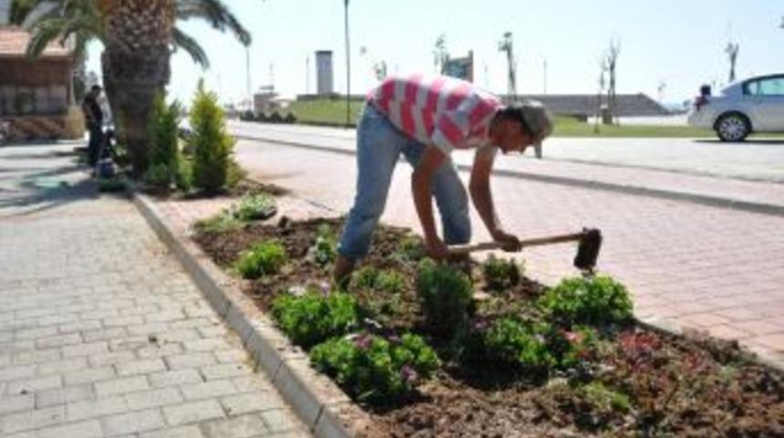 Erdemli'de Yeşillendirme &Ccedil;alışmaları