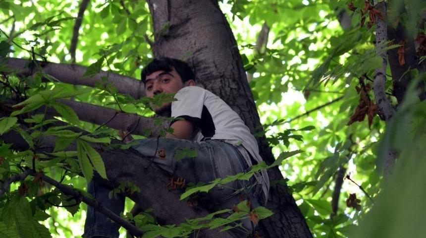 Ağa&ccedil;ta Mahsur Kalan Kişiyi Itfaiye Ekipleri Kurtardı