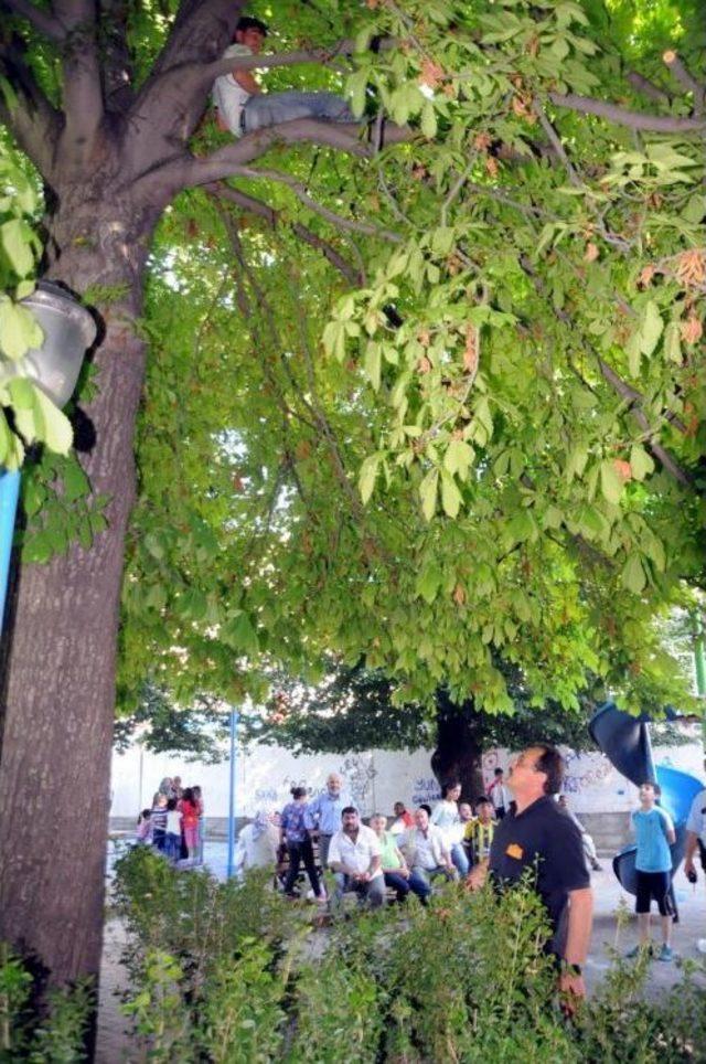 Ağa&ccedil;ta Mahsur Kalan Kişiyi Itfaiye Ekipleri Kurtardı 2