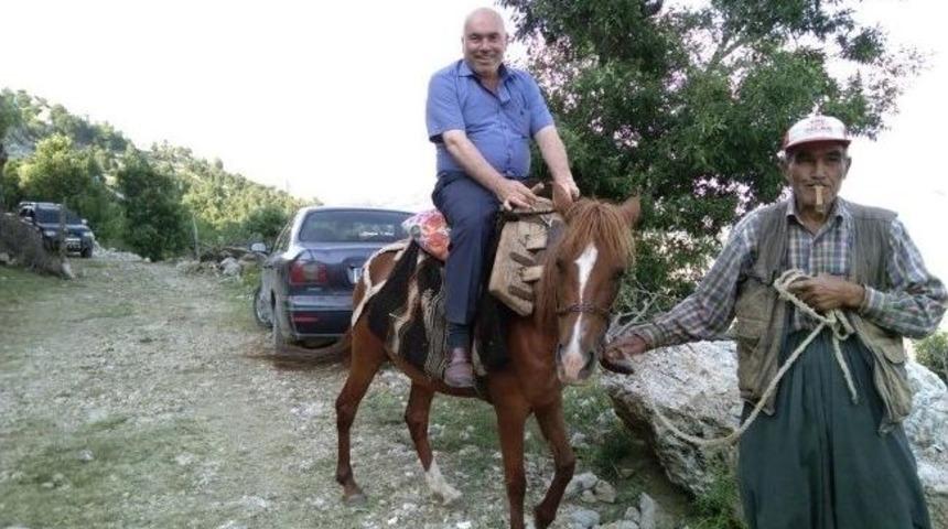 At Sırtında Bir Belediye Başkanı