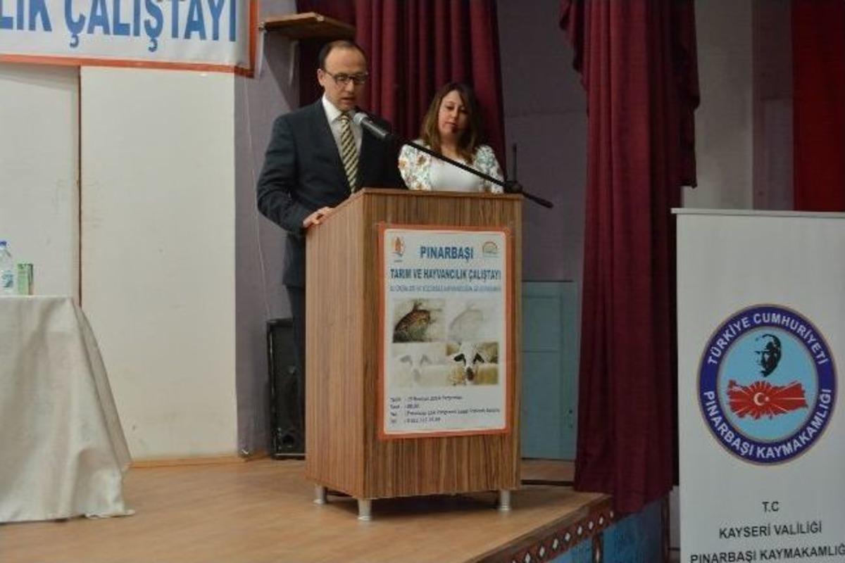 Pınarbaşı'nda Tarım Ve Hayvancılık &Ccedil;alıştayı Yapıldı