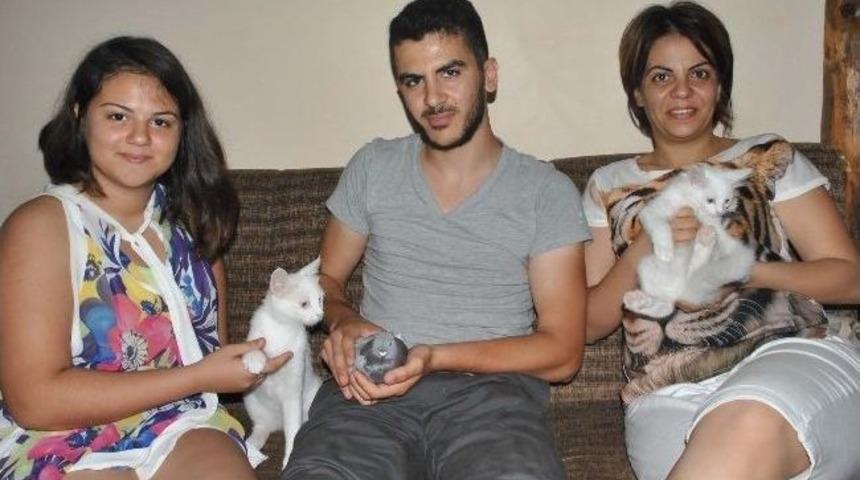 Kediyle G&uuml;vercinin Şaşırtan Yakınlığı