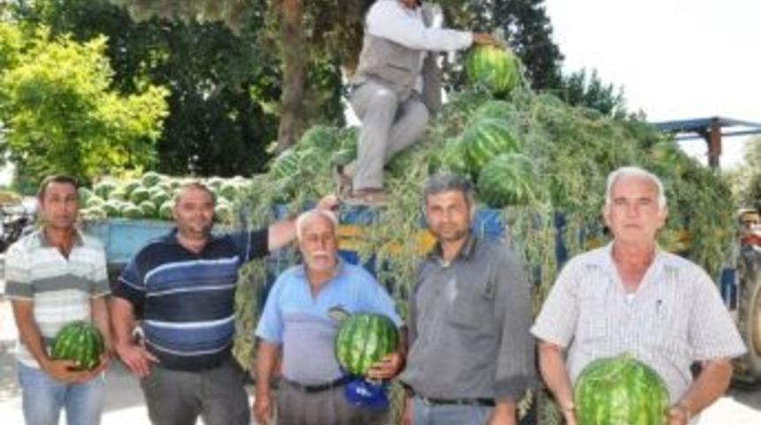 &Ouml;demiş&rsquo;te Karpuz Sezonu A&ccedil;ıldı