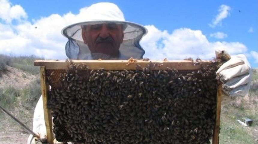 &Ouml;ğretmenlikten Emekli Oldu Arıcılığa Devam Etti
