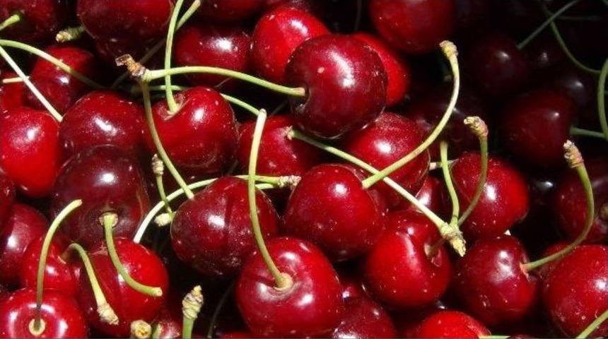 Kiraz &Uuml;reticiyi &Uuml;zd&uuml;
