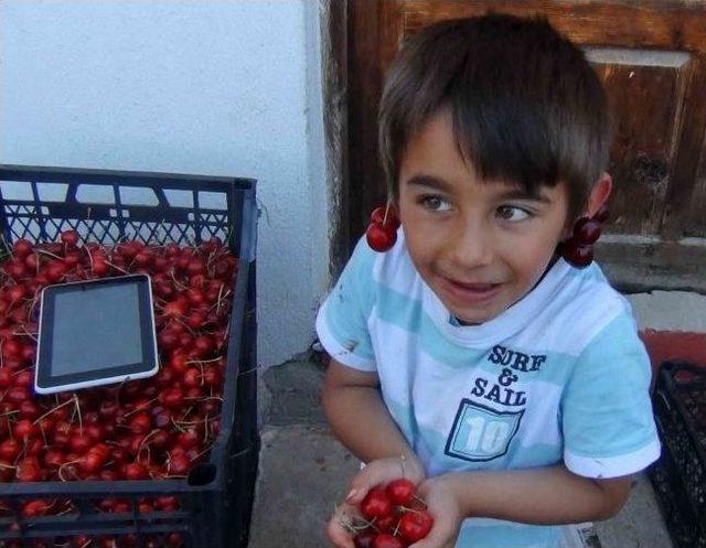 Kiraz Üreticiyi Üzdü 1
