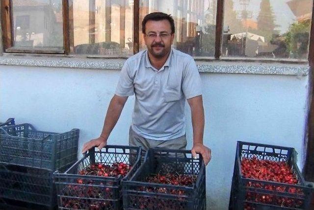 Kiraz Üreticiyi Üzdü 2