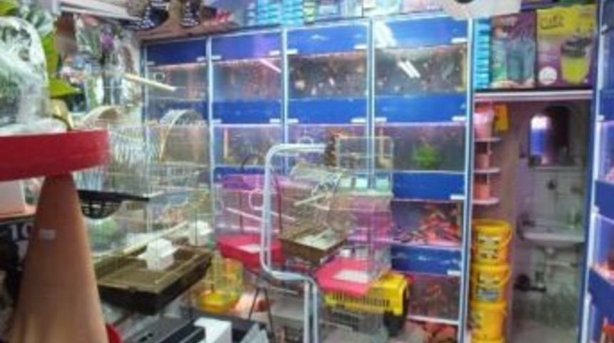 Pet Shop Denetimleri Devam Ediyor
