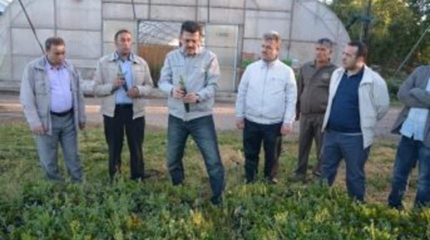 Genel M&uuml;d&uuml;r Yardımcısı Yunus Şeker, Erzurum&rsquo;da İncelemelerde Bulundu